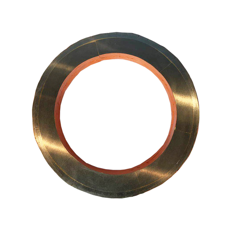 SP1000 (2)